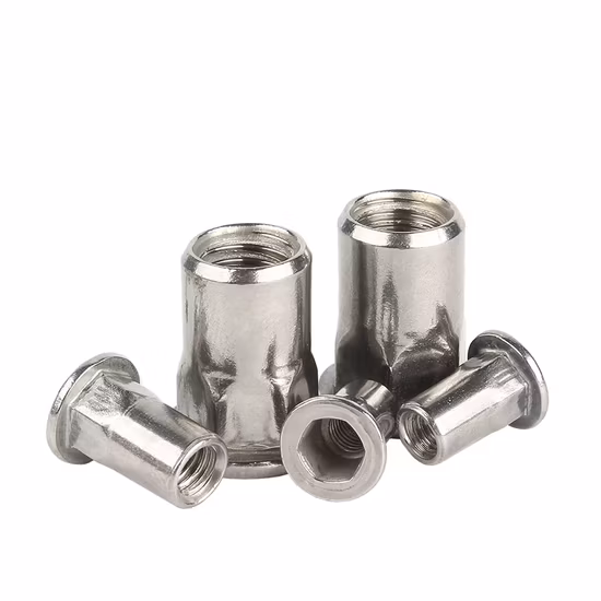 Металл Медь M20 M6 M12 Титан Специальный M2 Плоская головка Нержавеющая сталь Изготовленная на заказ Латунь M8 Заклепка с глухой заклепкой Гайка